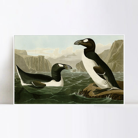 INVIN ART Framed Canvas Giclee Print Great Auk by John James Audubon Wall Art Living Room Home Office Decorations
