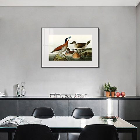 INVIN ART Metal Framed Canvas Giclee Print Ruddy Duck by John James Audubon Wall Art Living Room Home Office Decorations