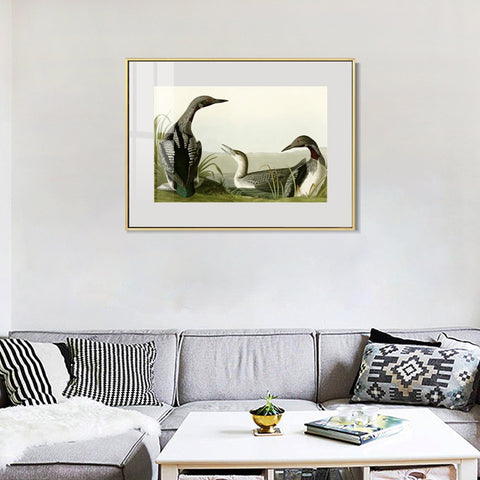 INVIN ART Metal Framed Canvas Giclee Print Black Throated Diver by John James Audubon Wall Art Living Room Home Office Decorations