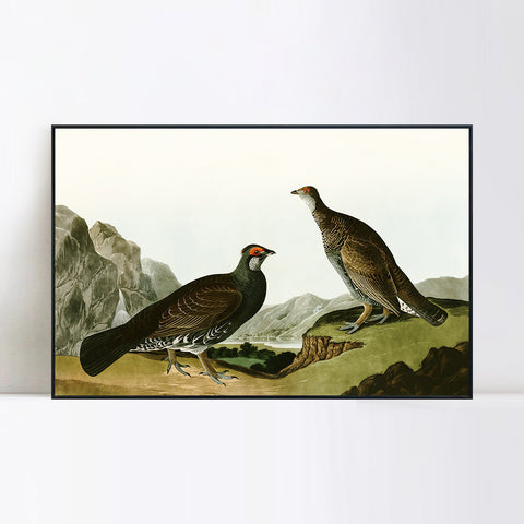 INVIN ART Framed Canvas Giclee Print Long tailed or Dusky Grous by John James Audubon Wall Art Living Room Home Office Decorations