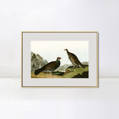 INVIN ART Metal Framed Canvas Giclee Print Long tailed or Dusky Grous by John James Audubon Wall Art Living Room Home Office Decorations