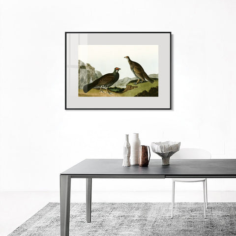 INVIN ART Metal Framed Canvas Giclee Print Long tailed or Dusky Grous by John James Audubon Wall Art Living Room Home Office Decorations