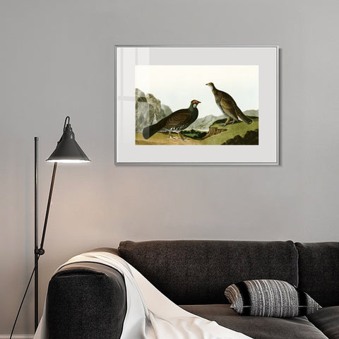 INVIN ART Metal Framed Canvas Giclee Print Long tailed or Dusky Grous by John James Audubon Wall Art Living Room Home Office Decorations
