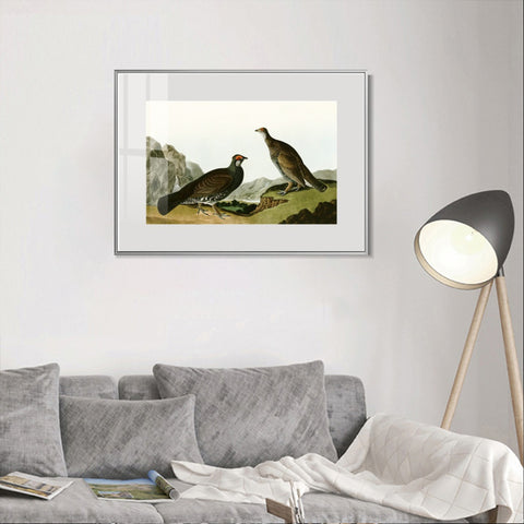 INVIN ART Metal Framed Canvas Giclee Print Long tailed or Dusky Grous by John James Audubon Wall Art Living Room Home Office Decorations