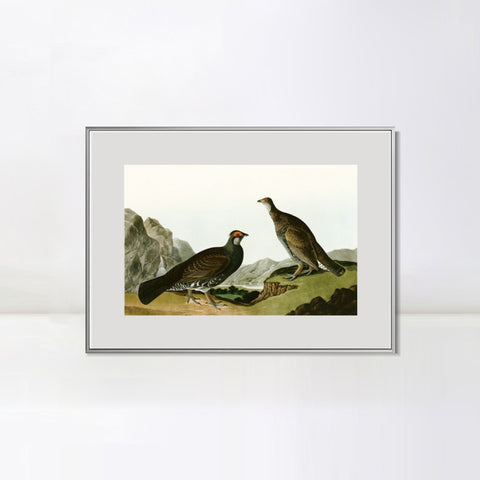INVIN ART Metal Framed Canvas Giclee Print Long tailed or Dusky Grous by John James Audubon Wall Art Living Room Home Office Decorations