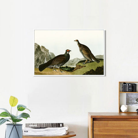 INVIN ART Framed Canvas Giclee Print Long tailed or Dusky Grous by John James Audubon Wall Art Living Room Home Office Decorations