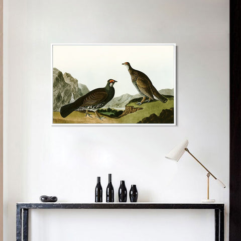 INVIN ART Framed Canvas Giclee Print Long tailed or Dusky Grous by John James Audubon Wall Art Living Room Home Office Decorations