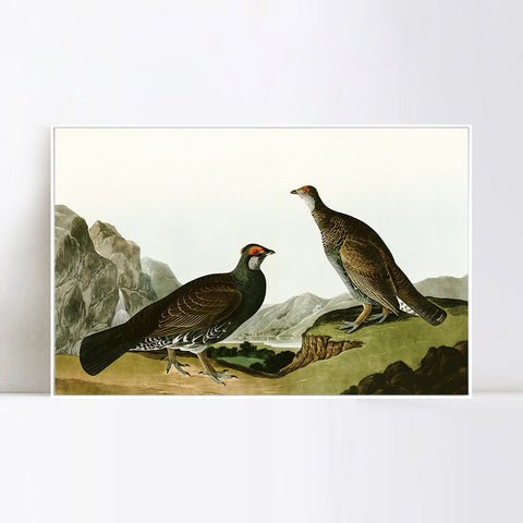 INVIN ART Framed Canvas Giclee Print Long tailed or Dusky Grous by John James Audubon Wall Art Living Room Home Office Decorations