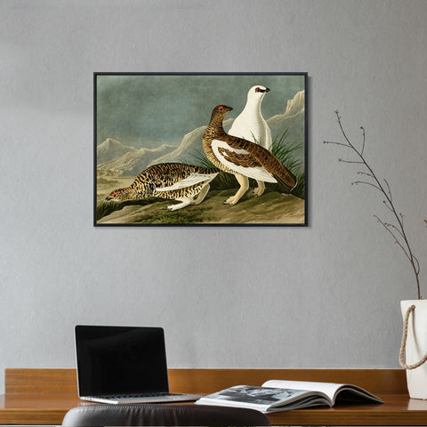 INVIN ART Framed Canvas Giclee Print Rock Grous by John James Audubon Wall Art Living Room Home Office Decorations