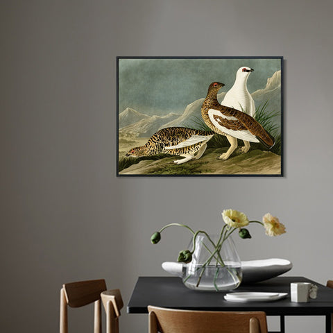 INVIN ART Framed Canvas Giclee Print Rock Grous by John James Audubon Wall Art Living Room Home Office Decorations