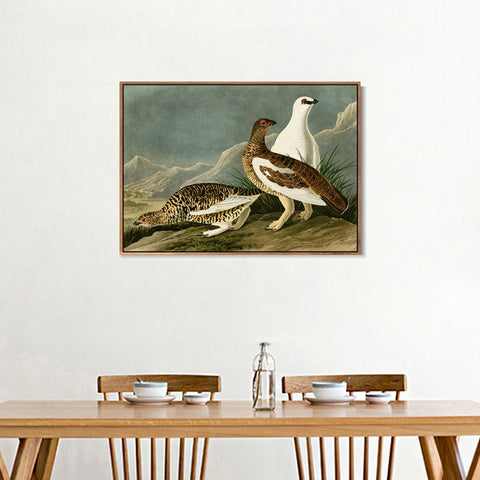 INVIN ART Framed Canvas Giclee Print Rock Grous by John James Audubon Wall Art Living Room Home Office Decorations