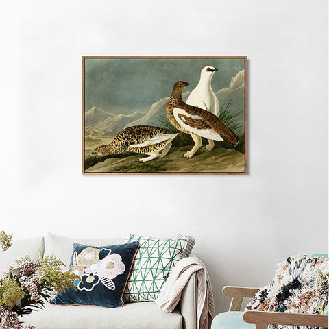 INVIN ART Framed Canvas Giclee Print Rock Grous by John James Audubon Wall Art Living Room Home Office Decorations