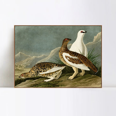 INVIN ART Framed Canvas Giclee Print Rock Grous by John James Audubon Wall Art Living Room Home Office Decorations