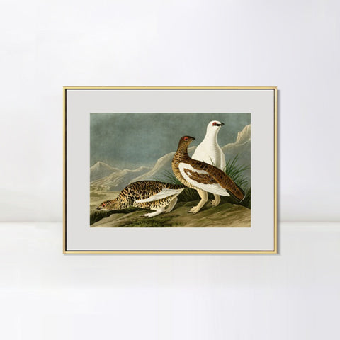 INVIN ART Metal Framed Canvas Giclee Print Rock Grous by John James Audubon Wall Art Living Room Home Office Decorations