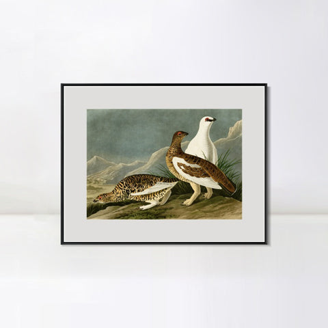INVIN ART Metal Framed Canvas Giclee Print Rock Grous by John James Audubon Wall Art Living Room Home Office Decorations