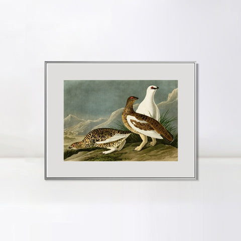 INVIN ART Metal Framed Canvas Giclee Print Rock Grous by John James Audubon Wall Art Living Room Home Office Decorations