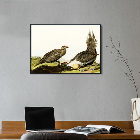 INVIN ART Framed Canvas Giclee Print Cock of the Plains by John James Audubon Wall Art Living Room Home Office Decorations