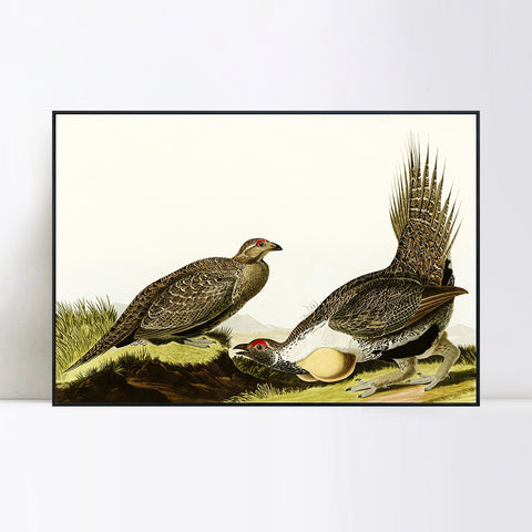 INVIN ART Framed Canvas Giclee Print Cock of the Plains by John James Audubon Wall Art Living Room Home Office Decorations