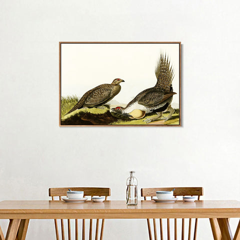 INVIN ART Framed Canvas Giclee Print Cock of the Plains by John James Audubon Wall Art Living Room Home Office Decorations
