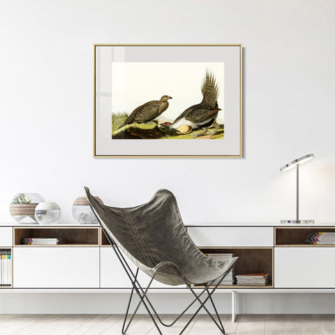 INVIN ART Metal Framed Canvas Giclee Print Cock of the Plains by John James Audubon Wall Art Living Room Home Office Decorations