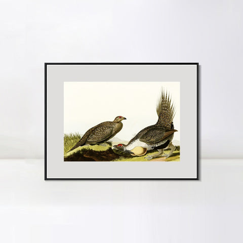 INVIN ART Metal Framed Canvas Giclee Print Cock of the Plains by John James Audubon Wall Art Living Room Home Office Decorations