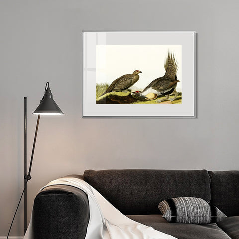 INVIN ART Metal Framed Canvas Giclee Print Cock of the Plains by John James Audubon Wall Art Living Room Home Office Decorations