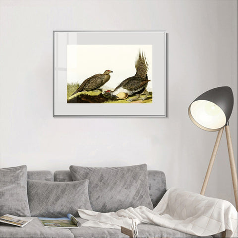 INVIN ART Metal Framed Canvas Giclee Print Cock of the Plains by John James Audubon Wall Art Living Room Home Office Decorations