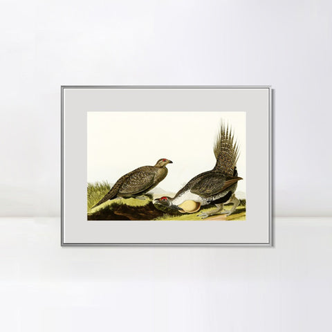 INVIN ART Metal Framed Canvas Giclee Print Cock of the Plains by John James Audubon Wall Art Living Room Home Office Decorations