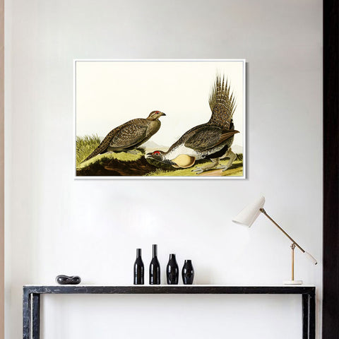 INVIN ART Framed Canvas Giclee Print Cock of the Plains by John James Audubon Wall Art Living Room Home Office Decorations