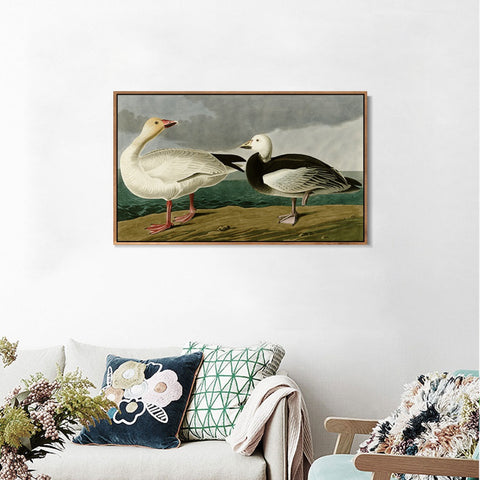 INVIN ART Framed Canvas Giclee Print Snow Goose by John James Audubon Wall Art Living Room Home Office Decorations
