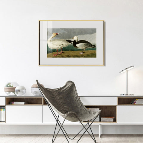 INVIN ART Metal Framed Canvas Giclee Print Snow Goose by John James Audubon Wall Art Living Room Home Office Decorations