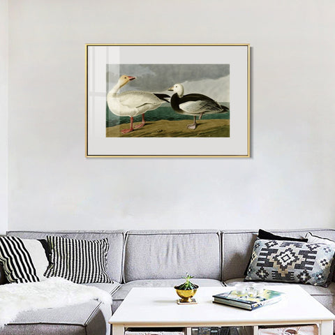 INVIN ART Metal Framed Canvas Giclee Print Snow Goose by John James Audubon Wall Art Living Room Home Office Decorations