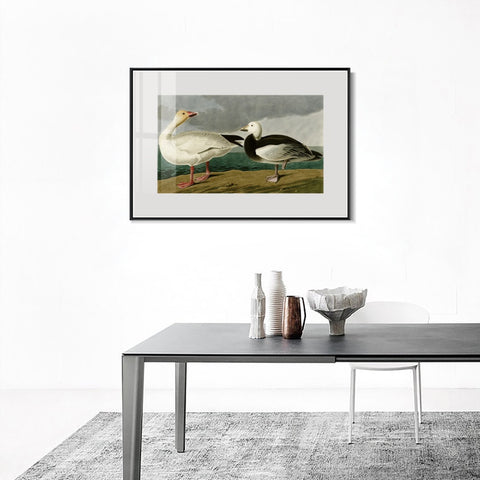 INVIN ART Metal Framed Canvas Giclee Print Snow Goose by John James Audubon Wall Art Living Room Home Office Decorations