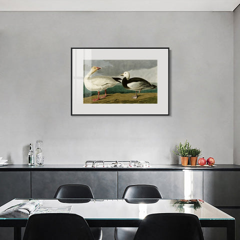 INVIN ART Metal Framed Canvas Giclee Print Snow Goose by John James Audubon Wall Art Living Room Home Office Decorations