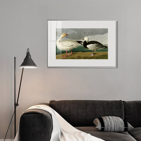 INVIN ART Metal Framed Canvas Giclee Print Snow Goose by John James Audubon Wall Art Living Room Home Office Decorations