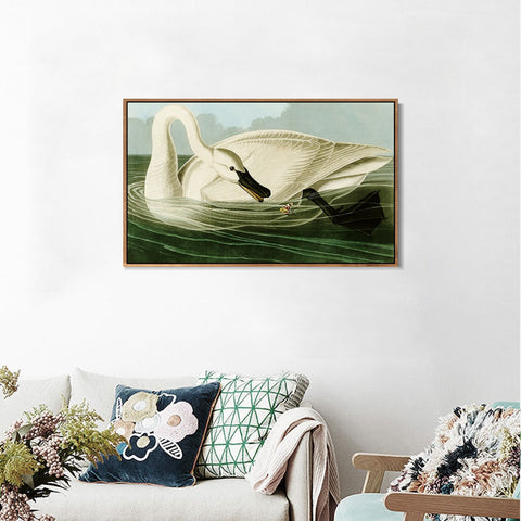 INVIN ART Framed Canvas Giclee Print Trumpeter Swan by John James Audubon Wall Art Living Room Home Office Decorations