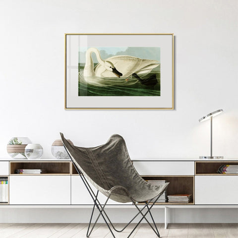 INVIN ART Metal Framed Canvas Giclee Print Trumpeter Swan by John James Audubon Wall Art Living Room Home Office Decorations