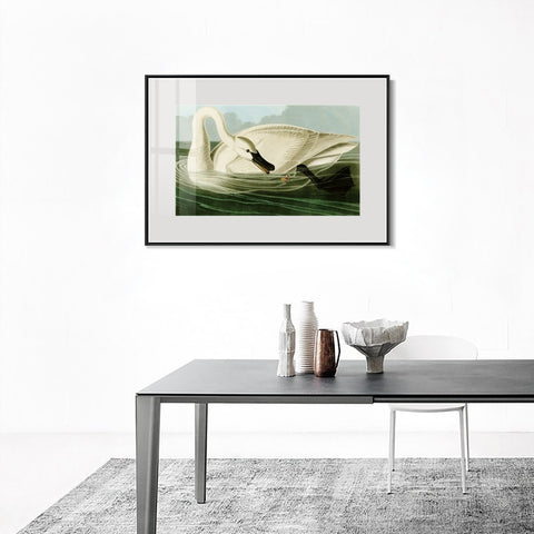 INVIN ART Metal Framed Canvas Giclee Print Trumpeter Swan by John James Audubon Wall Art Living Room Home Office Decorations