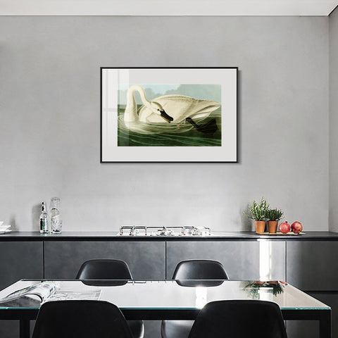 INVIN ART Metal Framed Canvas Giclee Print Trumpeter Swan by John James Audubon Wall Art Living Room Home Office Decorations