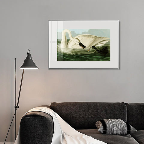 INVIN ART Metal Framed Canvas Giclee Print Trumpeter Swan by John James Audubon Wall Art Living Room Home Office Decorations