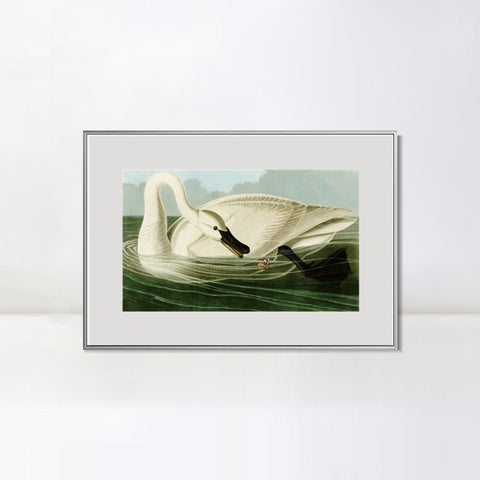 INVIN ART Metal Framed Canvas Giclee Print Trumpeter Swan by John James Audubon Wall Art Living Room Home Office Decorations