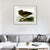 INVIN ART Metal Framed Canvas Giclee Print Dusky Albatros by John James Audubon Wall Art Living Room Home Office Decorations