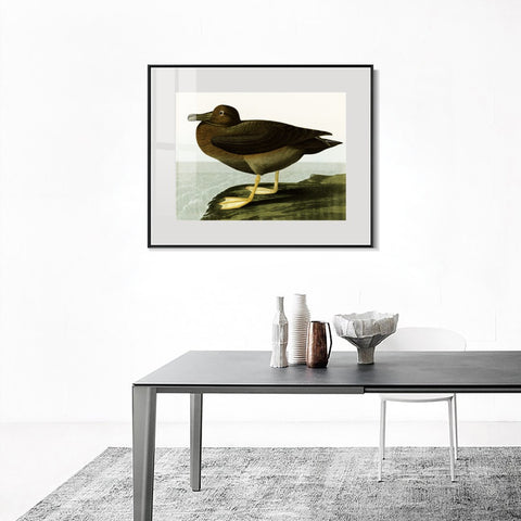 INVIN ART Metal Framed Canvas Giclee Print Dusky Albatros by John James Audubon Wall Art Living Room Home Office Decorations