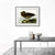 INVIN ART Metal Framed Canvas Giclee Print Dusky Albatros by John James Audubon Wall Art Living Room Home Office Decorations