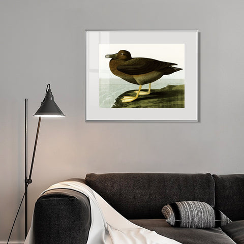 INVIN ART Metal Framed Canvas Giclee Print Dusky Albatros by John James Audubon Wall Art Living Room Home Office Decorations