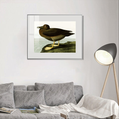 INVIN ART Metal Framed Canvas Giclee Print Dusky Albatros by John James Audubon Wall Art Living Room Home Office Decorations