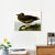INVIN ART Framed Canvas Giclee Print Dusky Albatros by John James Audubon Wall Art Living Room Home Office Decorations