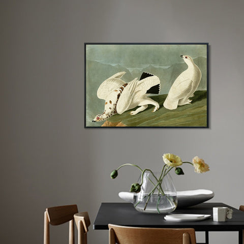 INVIN ART Framed Canvas Giclee Print White tailed Grous by John James Audubon Wall Art Living Room Home Office Decorations