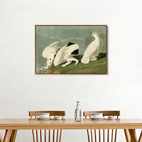 INVIN ART Framed Canvas Giclee Print White tailed Grous by John James Audubon Wall Art Living Room Home Office Decorations