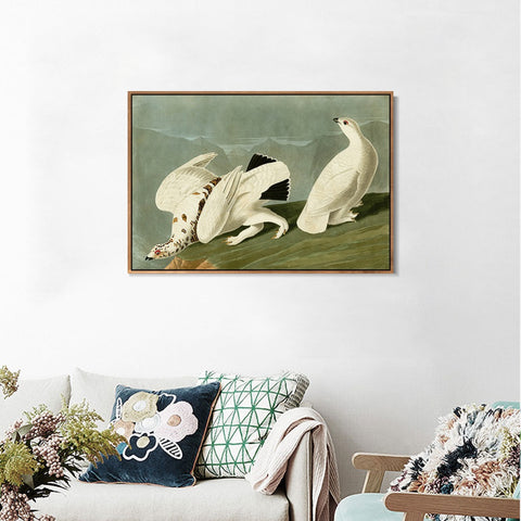 INVIN ART Framed Canvas Giclee Print White tailed Grous by John James Audubon Wall Art Living Room Home Office Decorations